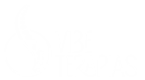 vibes logo